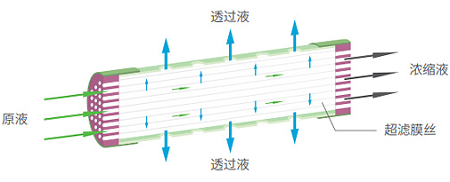 云顶集团·(中国)手机版app下载